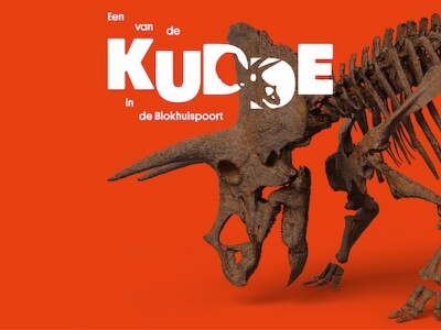 Triceratops in Leeuwarden